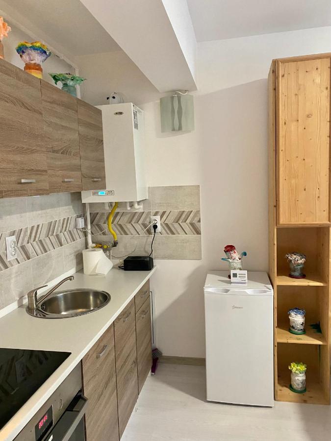 Apartament Irina Braşov Esterno foto